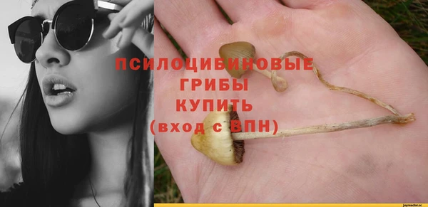 PSILOCYBIN Бугульма