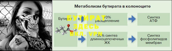 прущие крисы Бородино